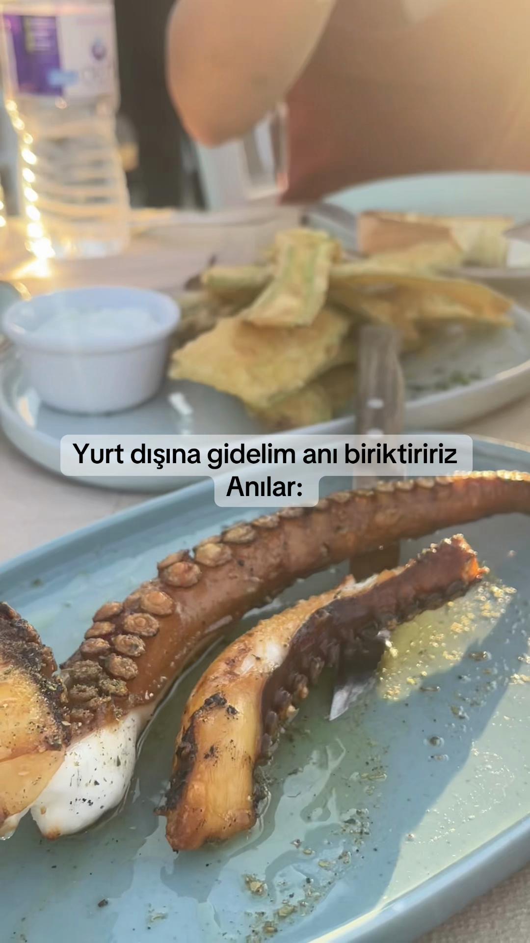 @Burcu Altıntaş