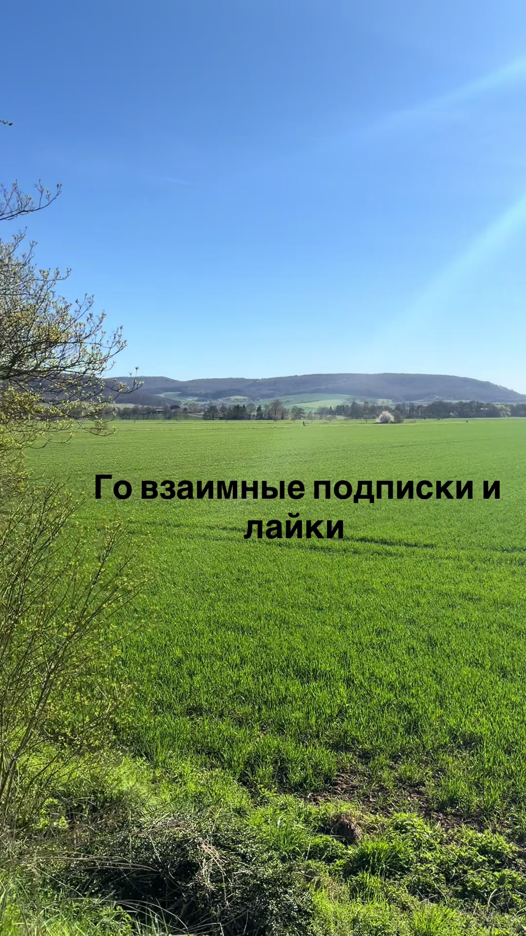 @Execut1337