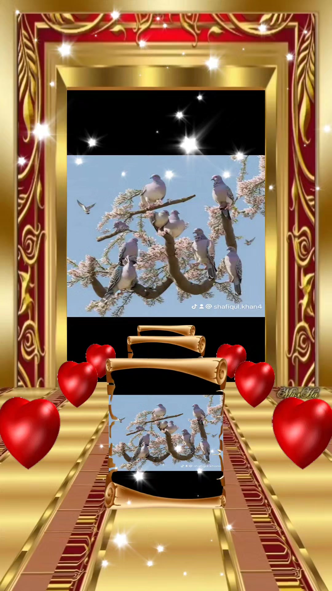 @Shafiqul Khan