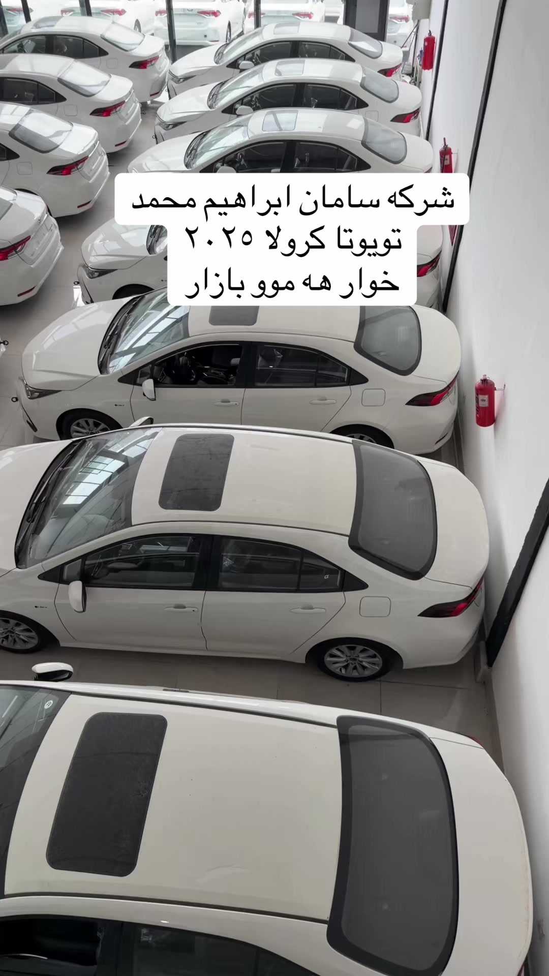 @شرکە سامان ابراهیم محمد