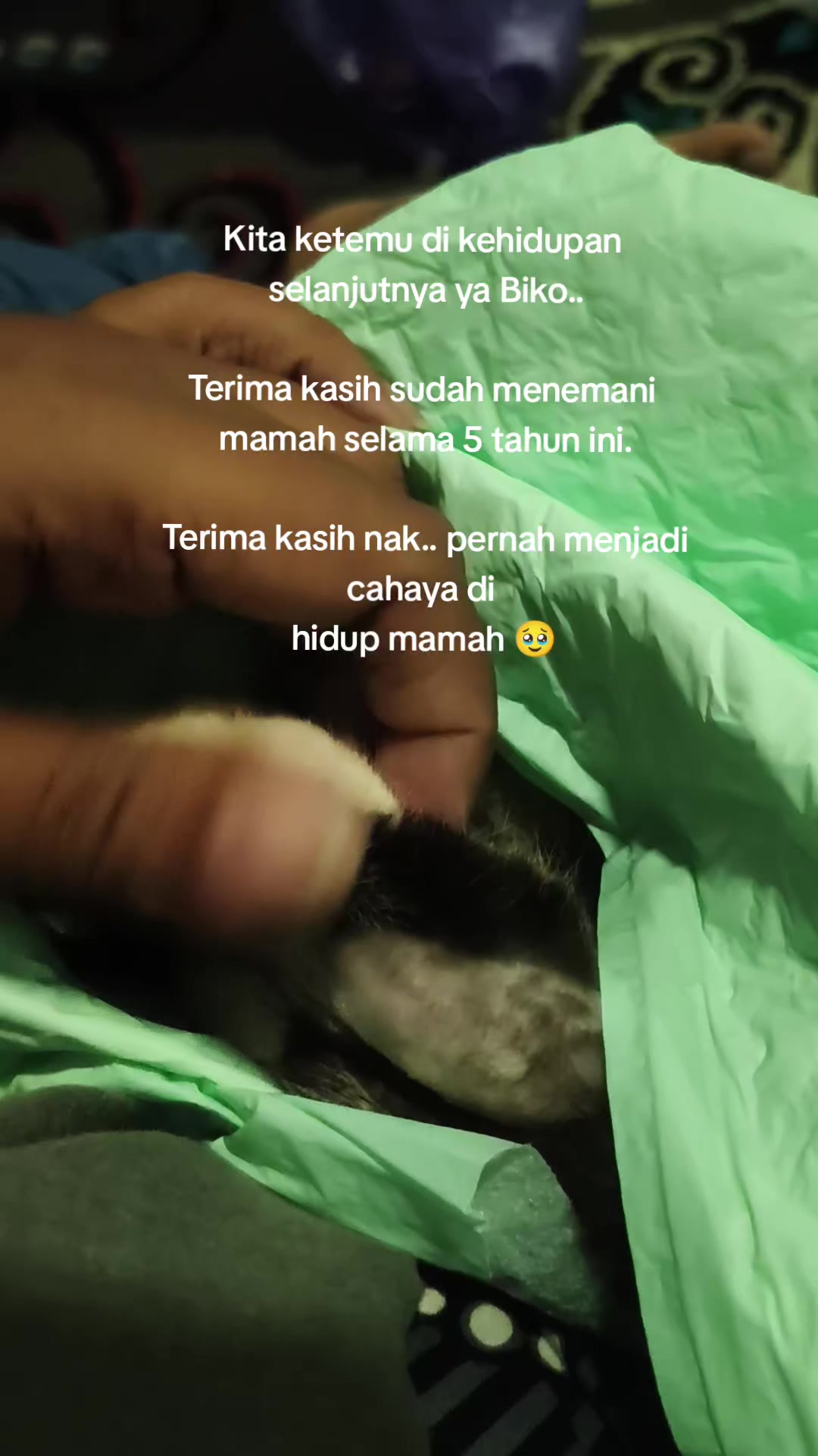@Gendhis Putik Darmawan