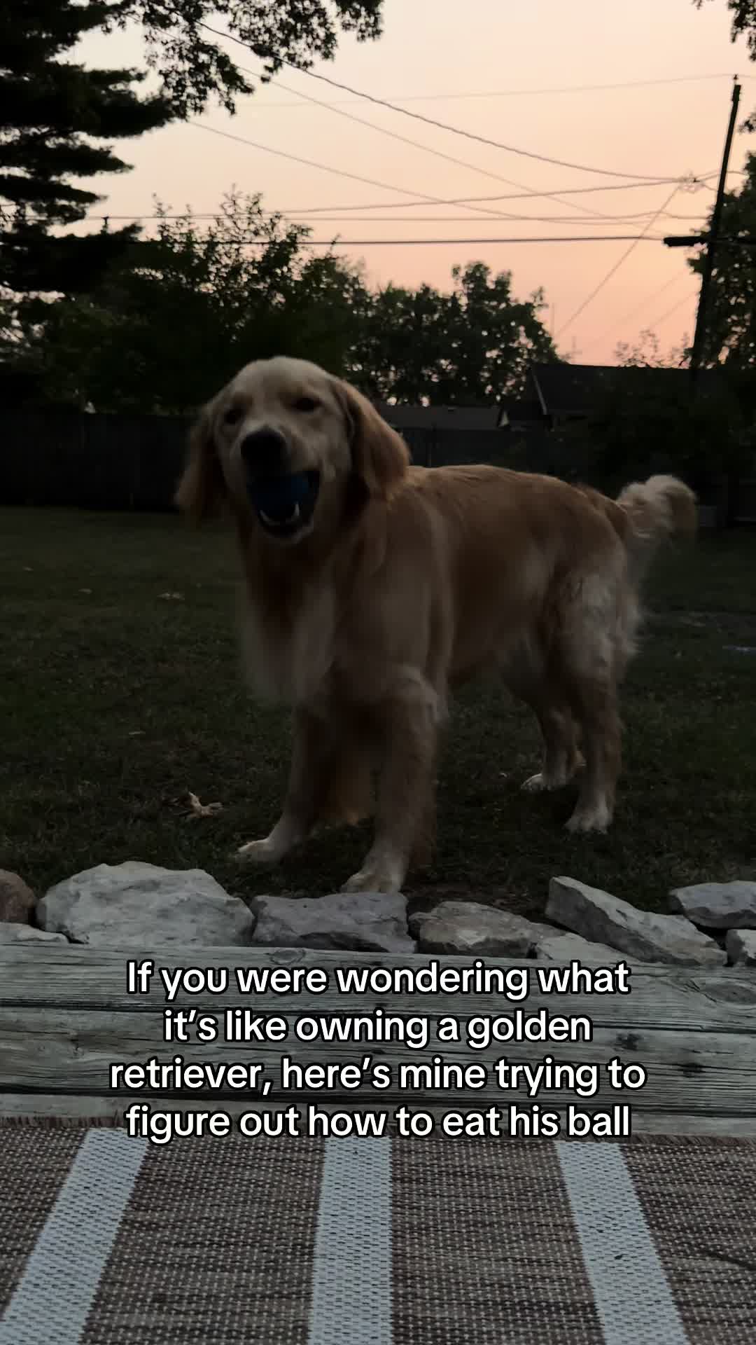 @Hannah + Charlie