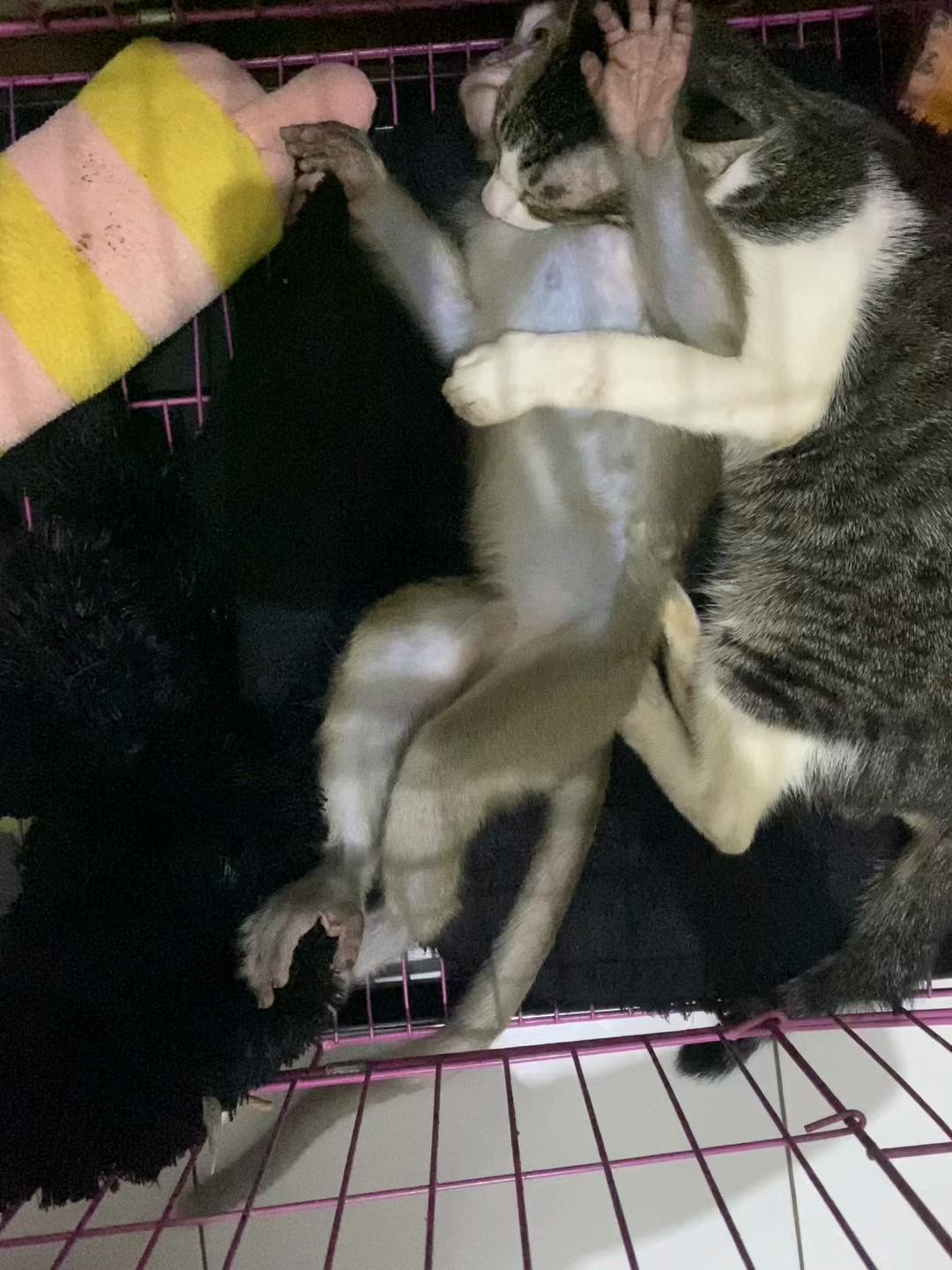 @Michelle🐒