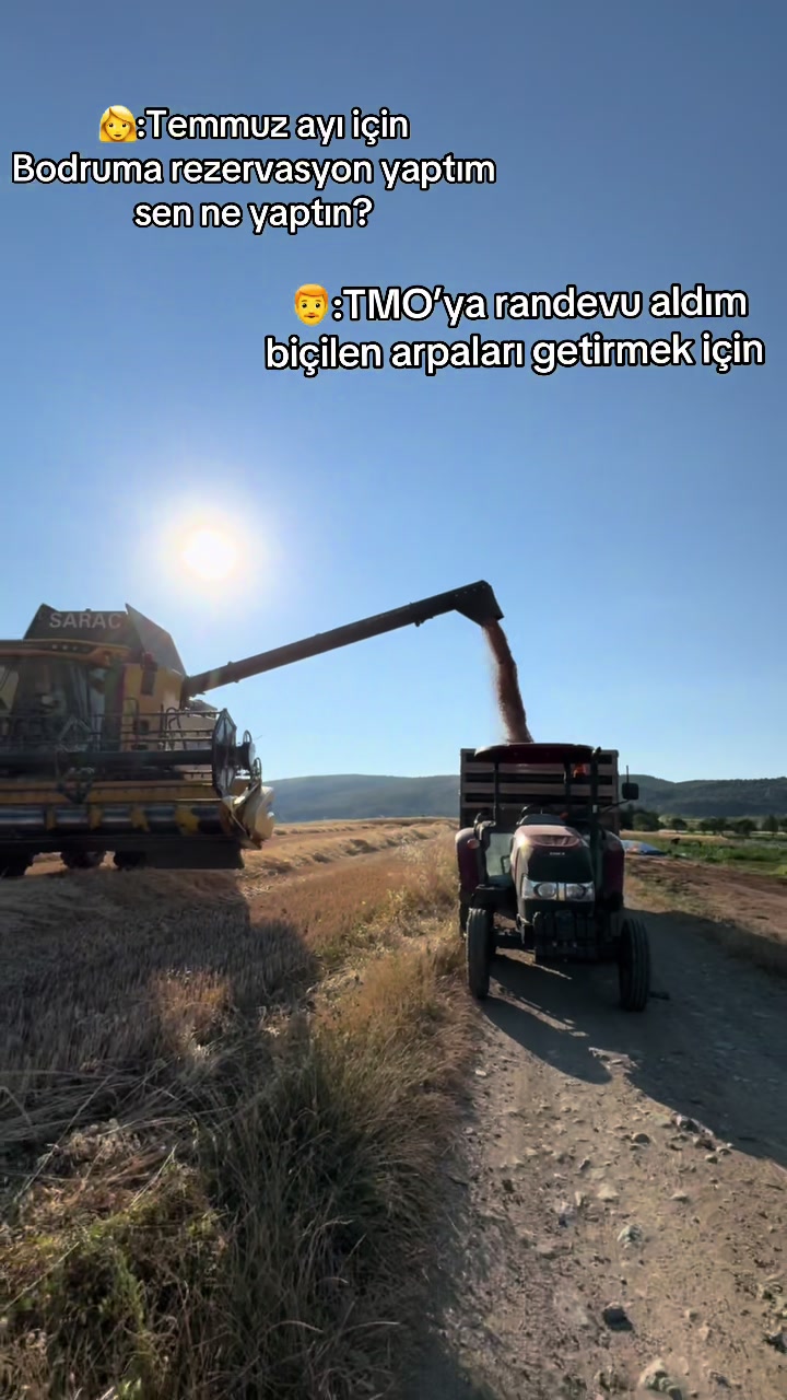 @Yiğit Şenol