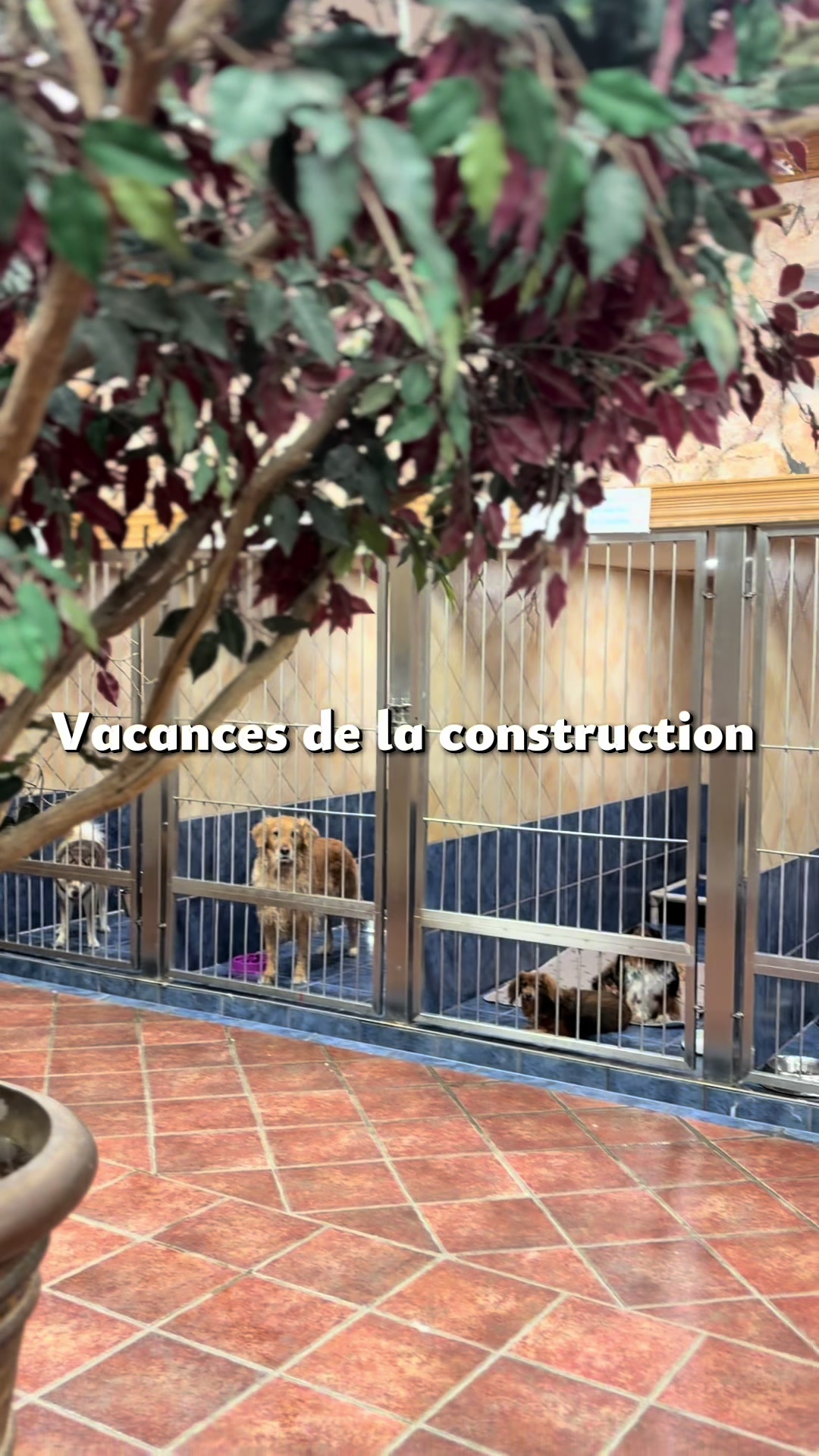 @centrecanindesruisseaux