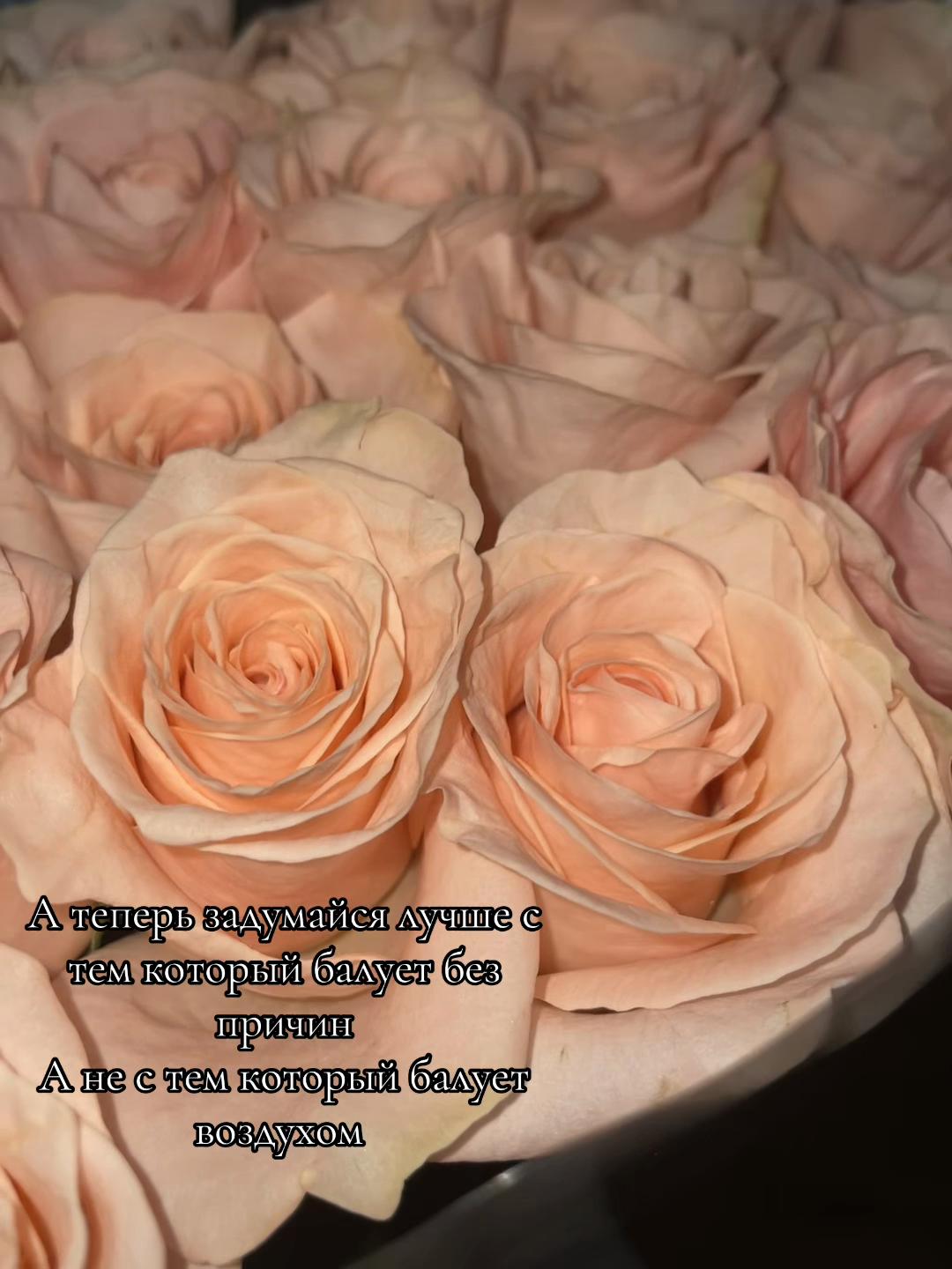 @💕Котёнок 💕