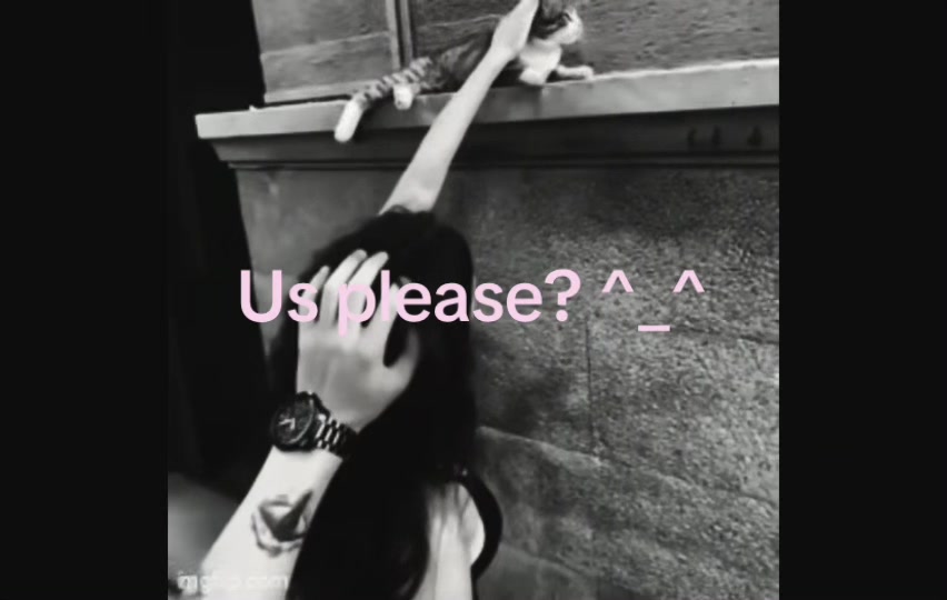 @๐๐พ๐๐๐ถ๐ท๐๐๐๐พ๐