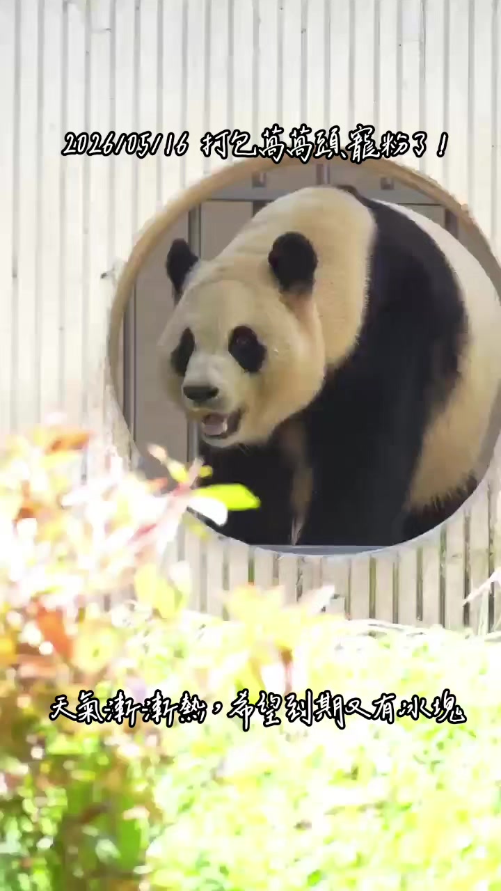 @福寶需要愛的抱抱
