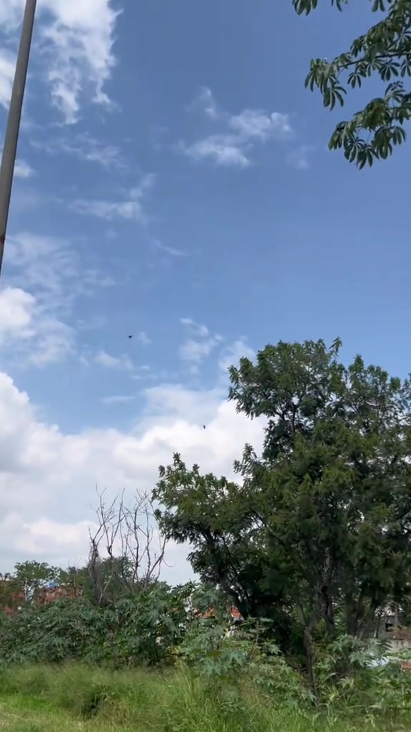 @El Calavero FPV