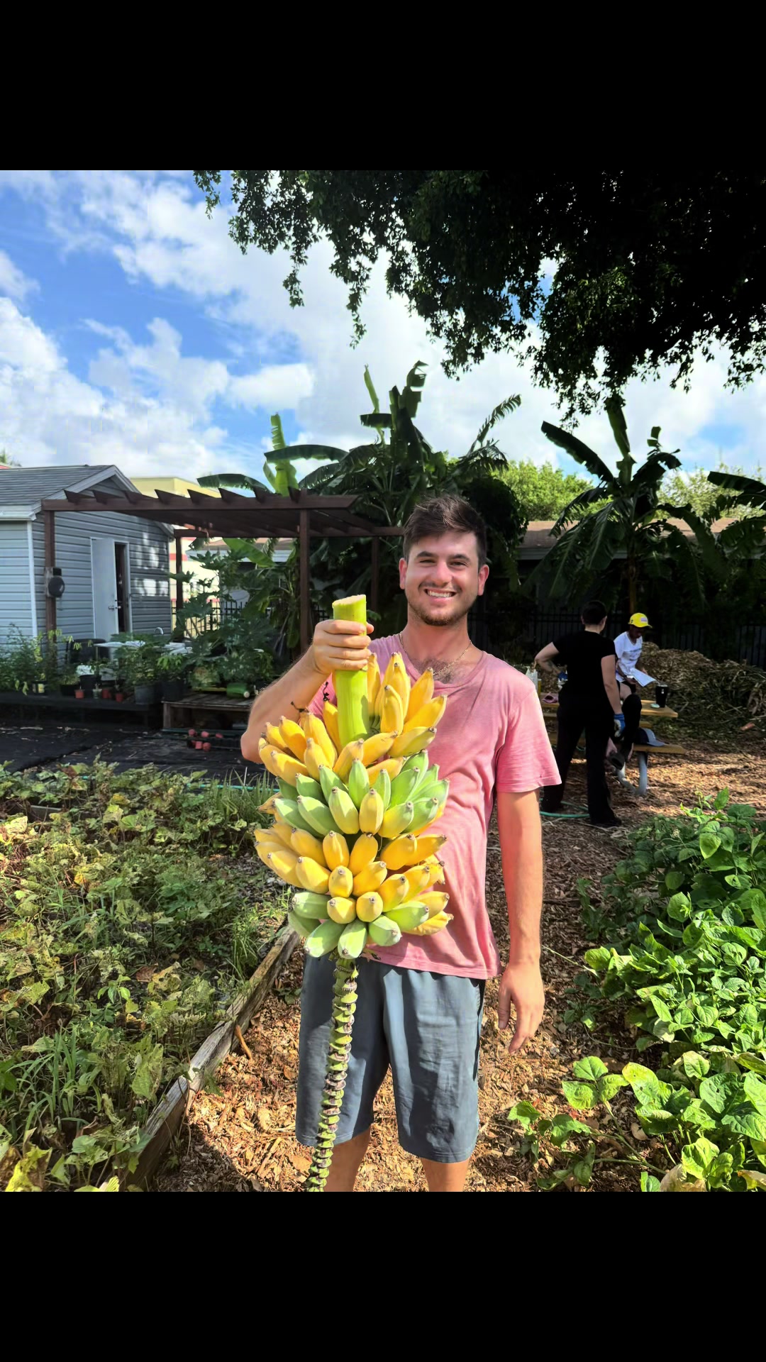@will.harvest