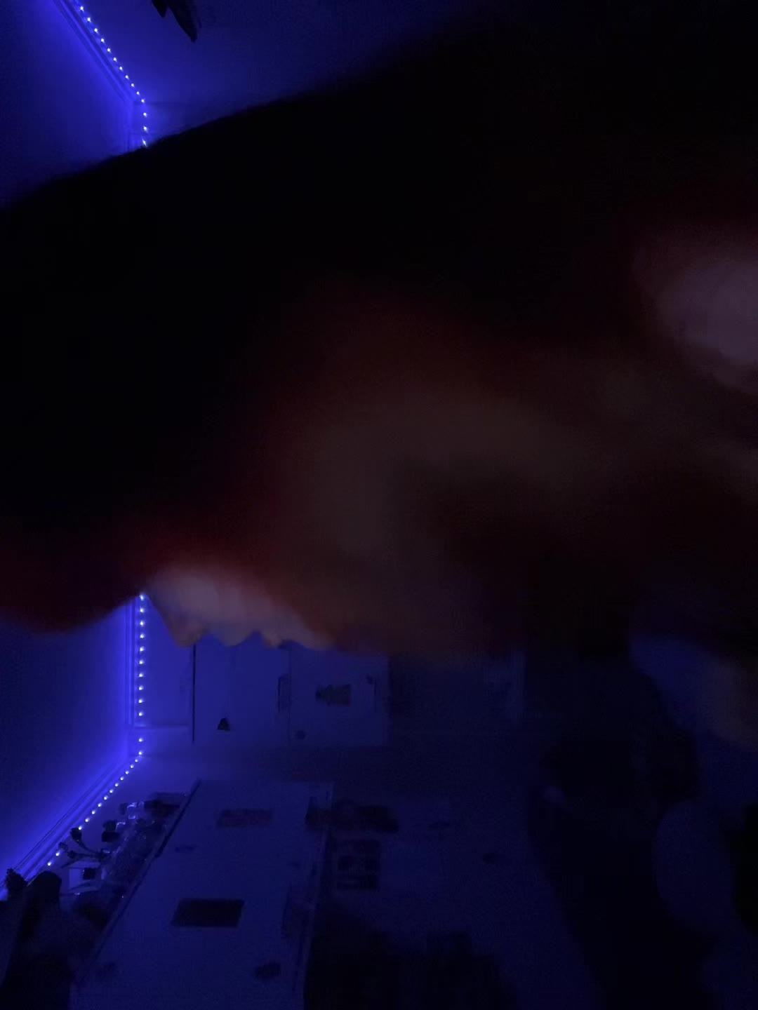 @𝒍𝒆𝒏𝒆𝒍
