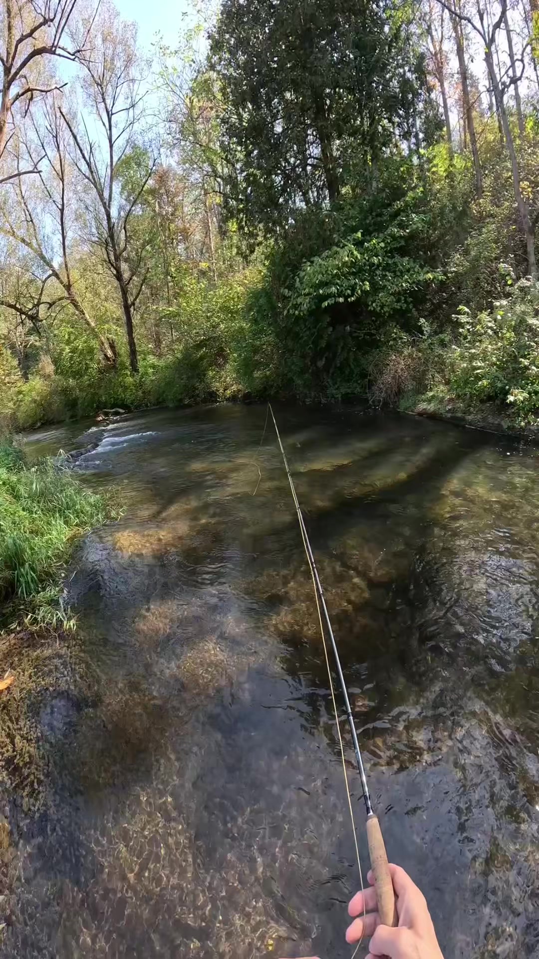@FlyFishDelawhere