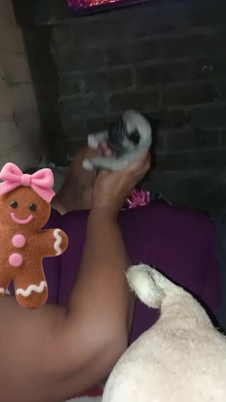 @cute. chloe