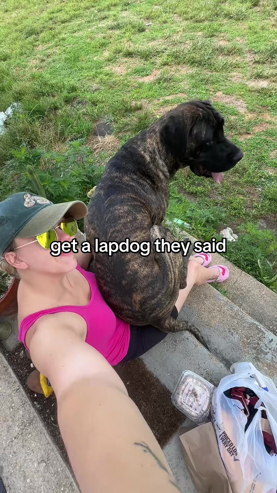 @farmerandtheharpiist