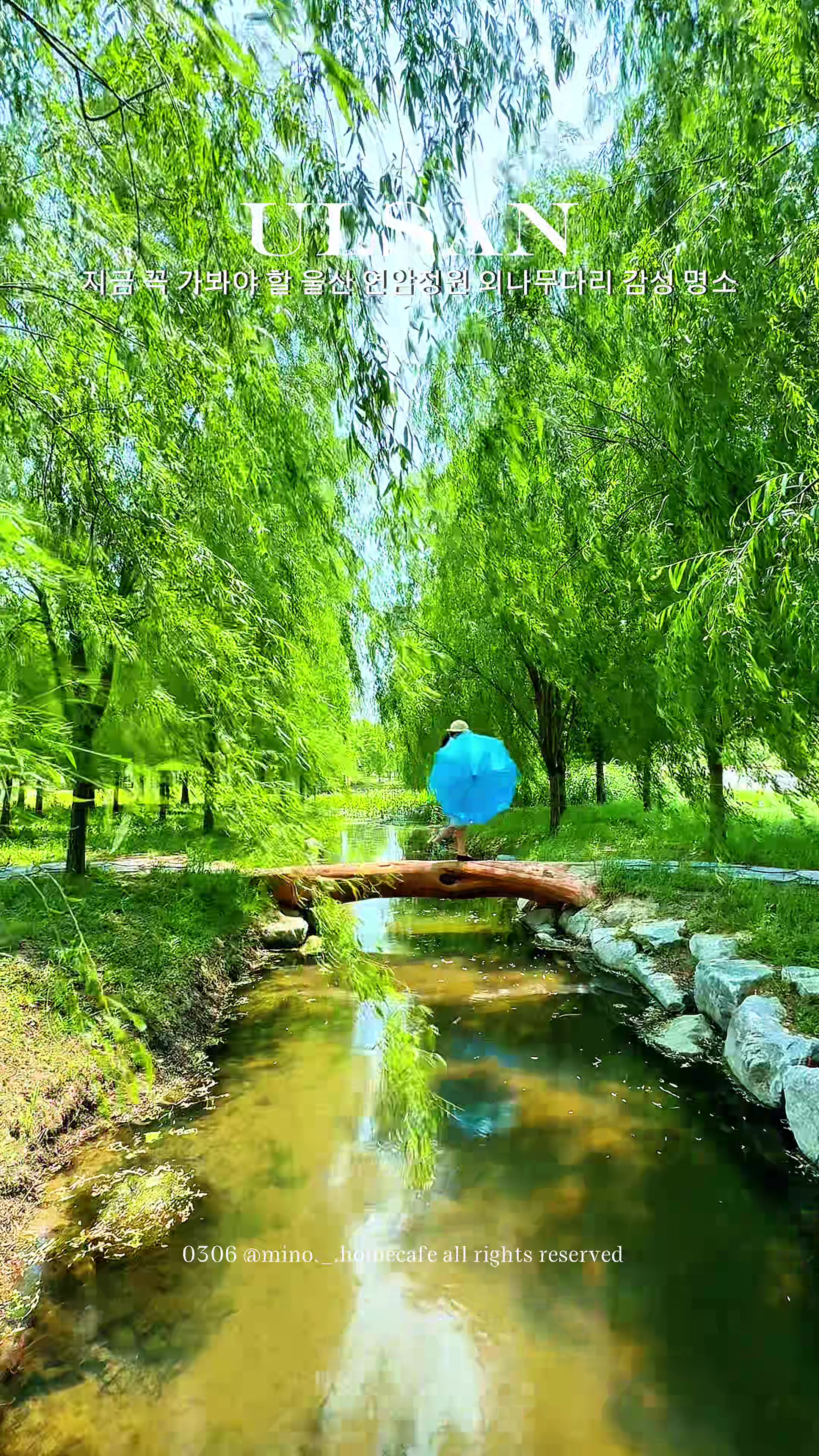 @mino36 미노36