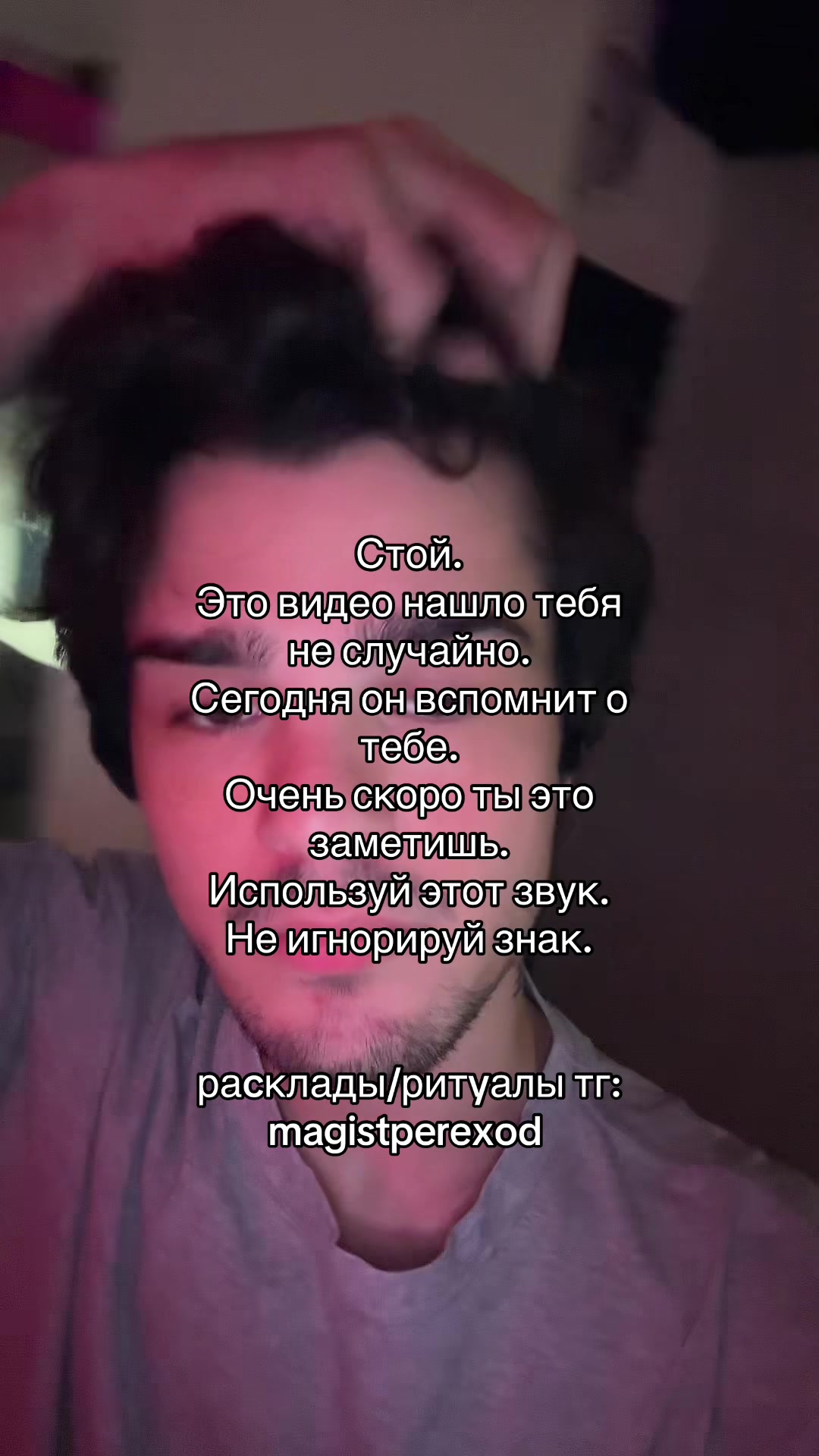 @Тг➜ magistperexod