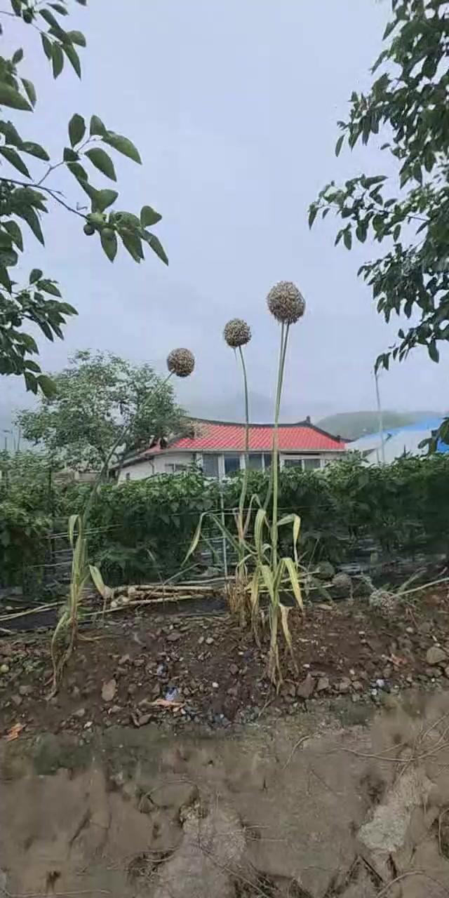 @커피향