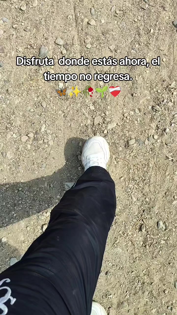 @Angie Puican Montaño