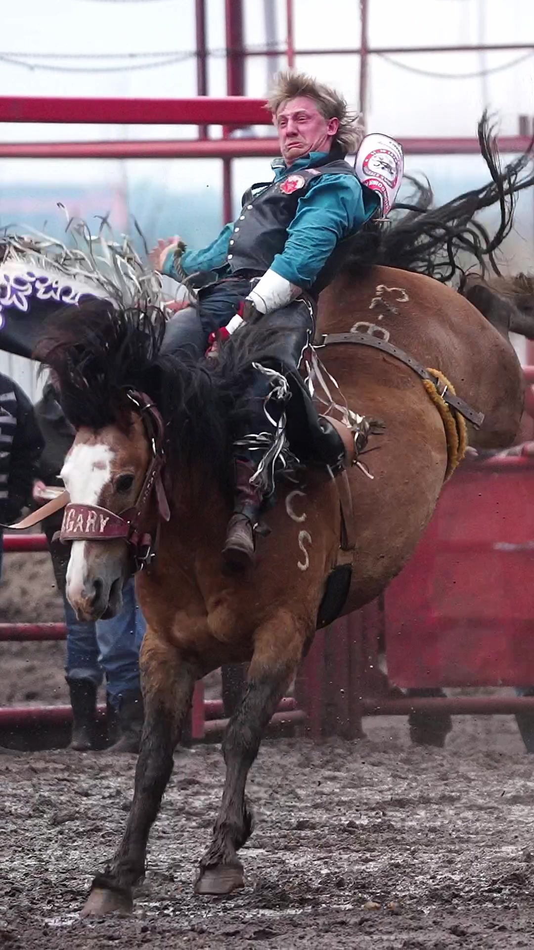 @Hanginghorses