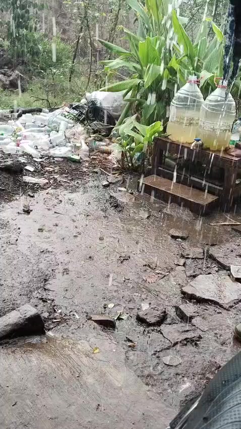 @Indoplangsir