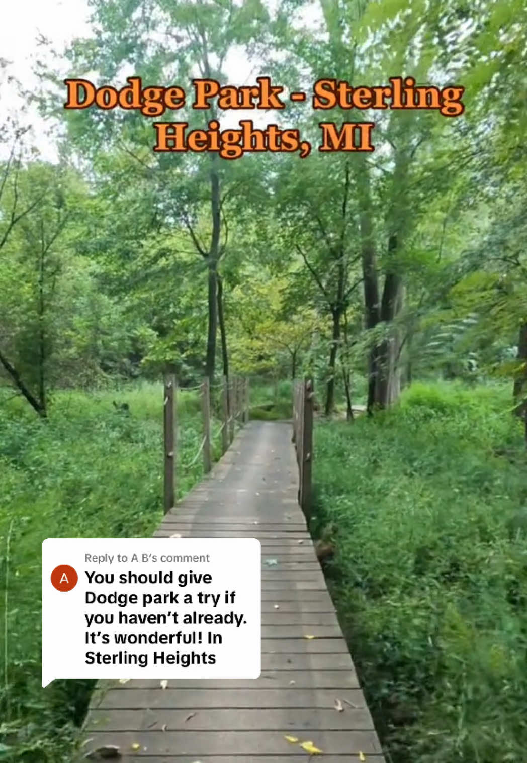 @Dev The Explorer
