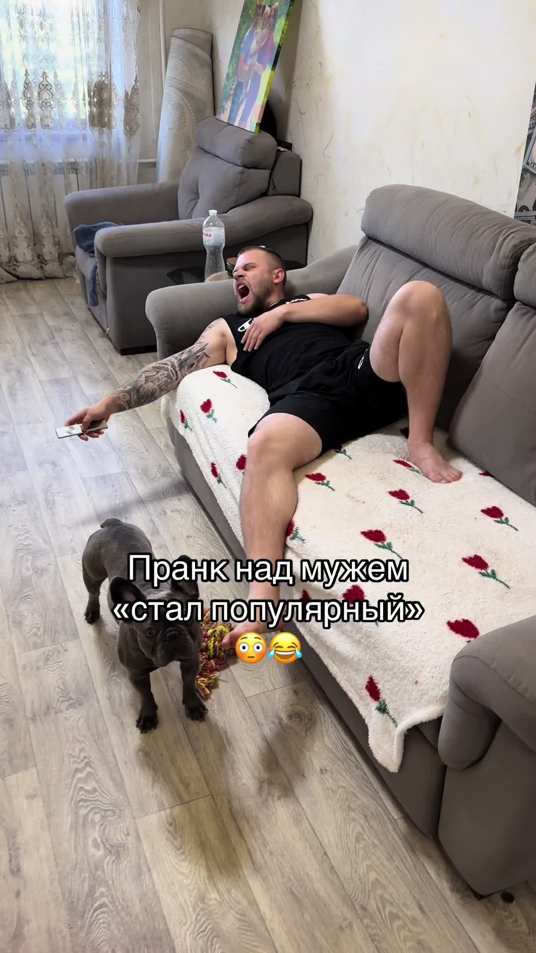 @ok_shevchiki