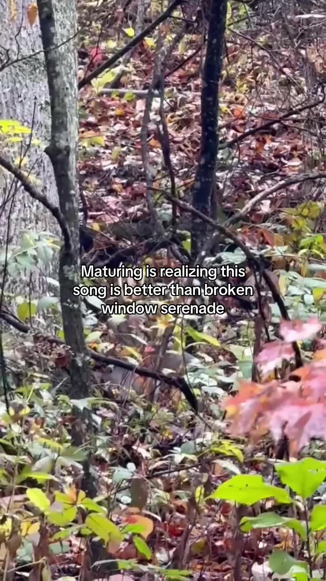 @kirkendolloutdoors