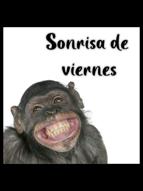 @@Manzzana