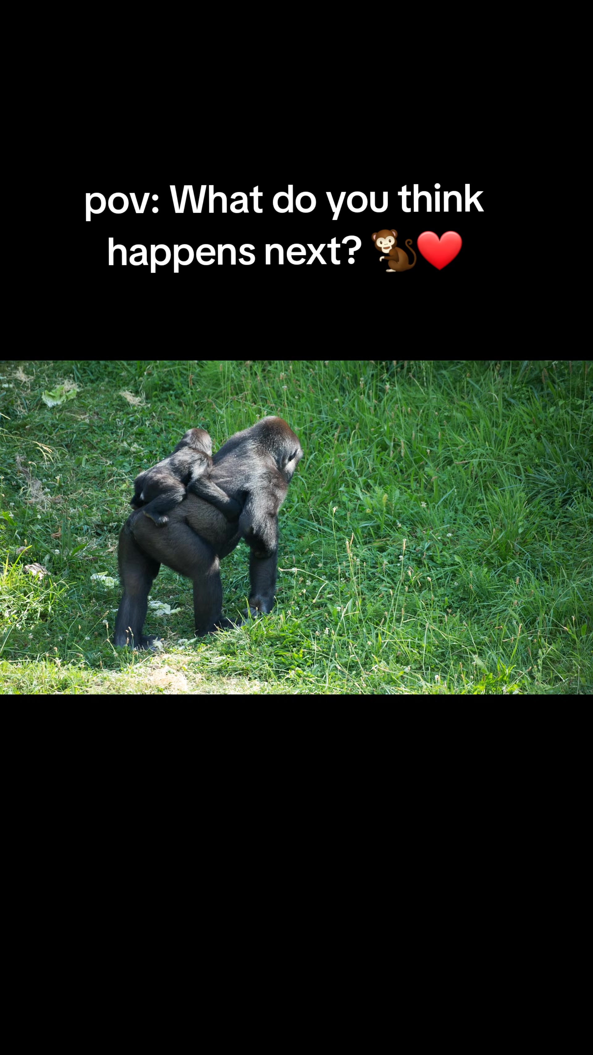 @Native kilimanjaro