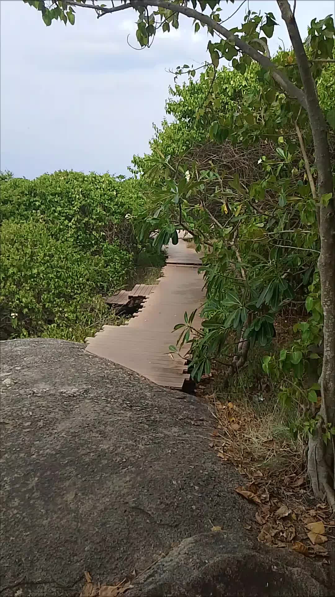 @tuk tuk areunang tour