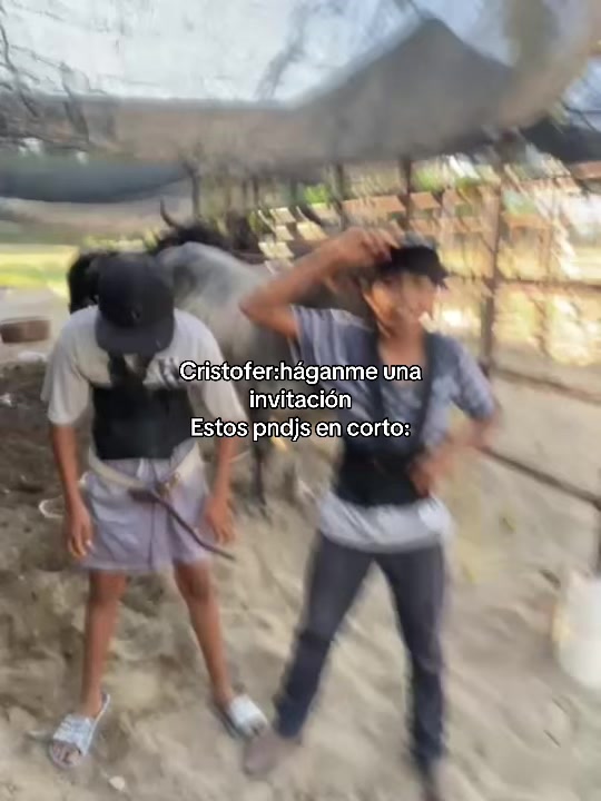 @Bahenita JR
