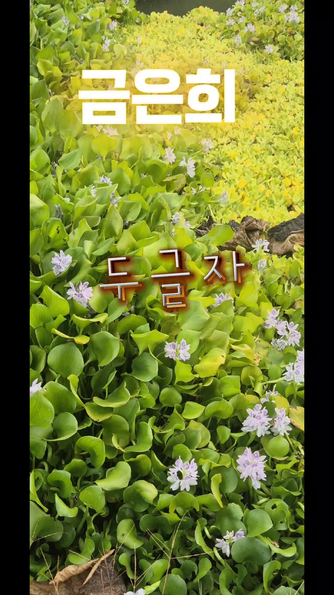 @금은희