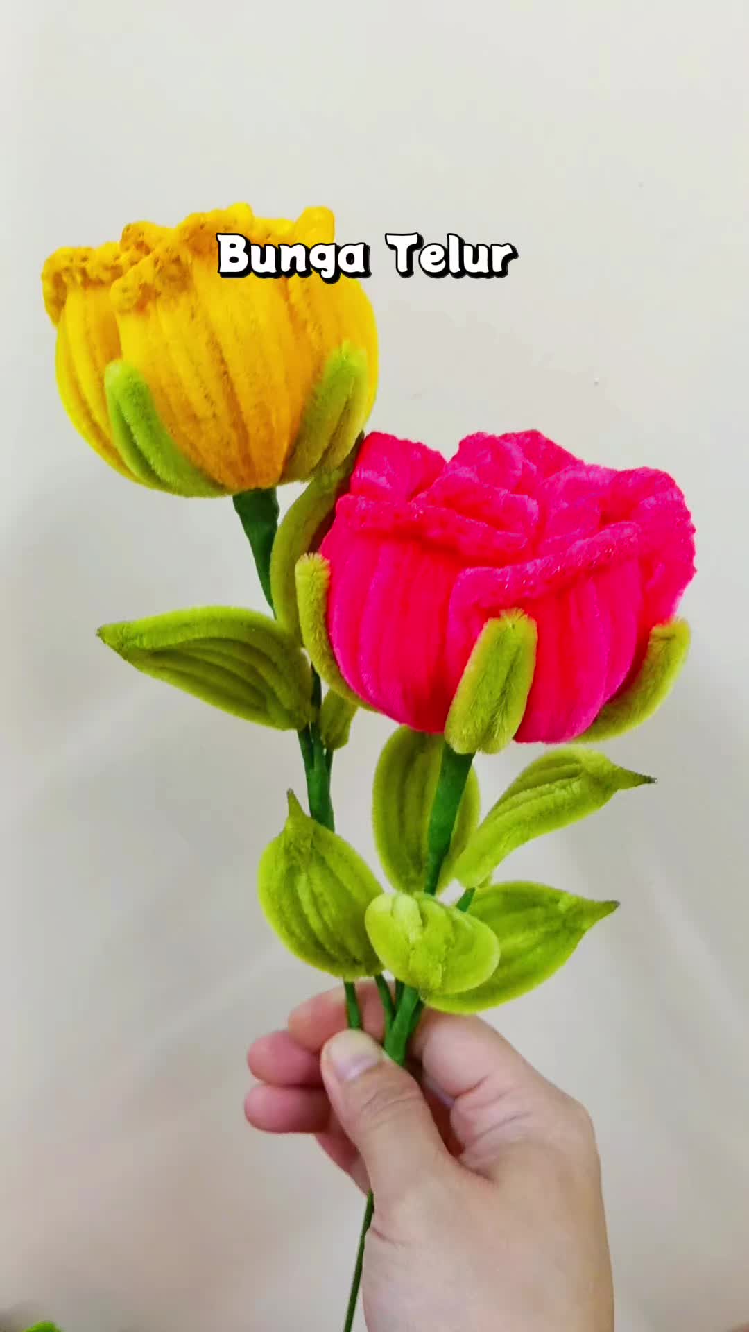 @Ayu ShafeezA🌷