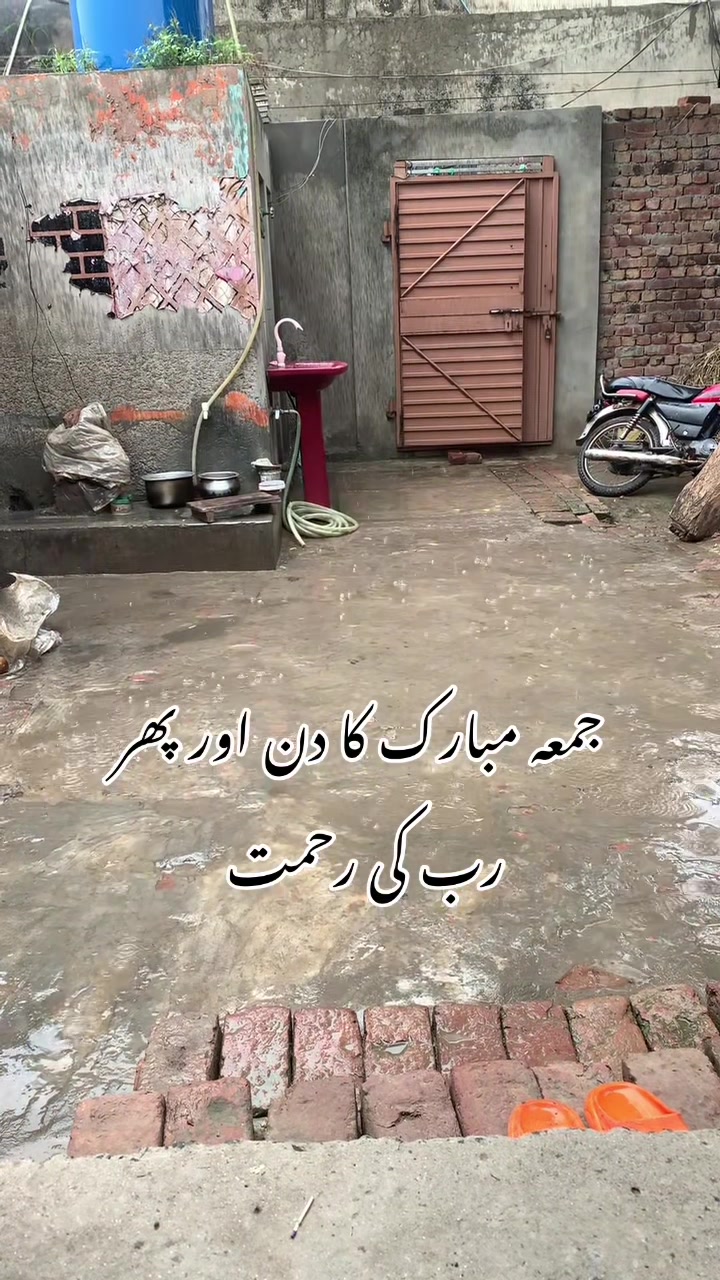 @foji sajjad