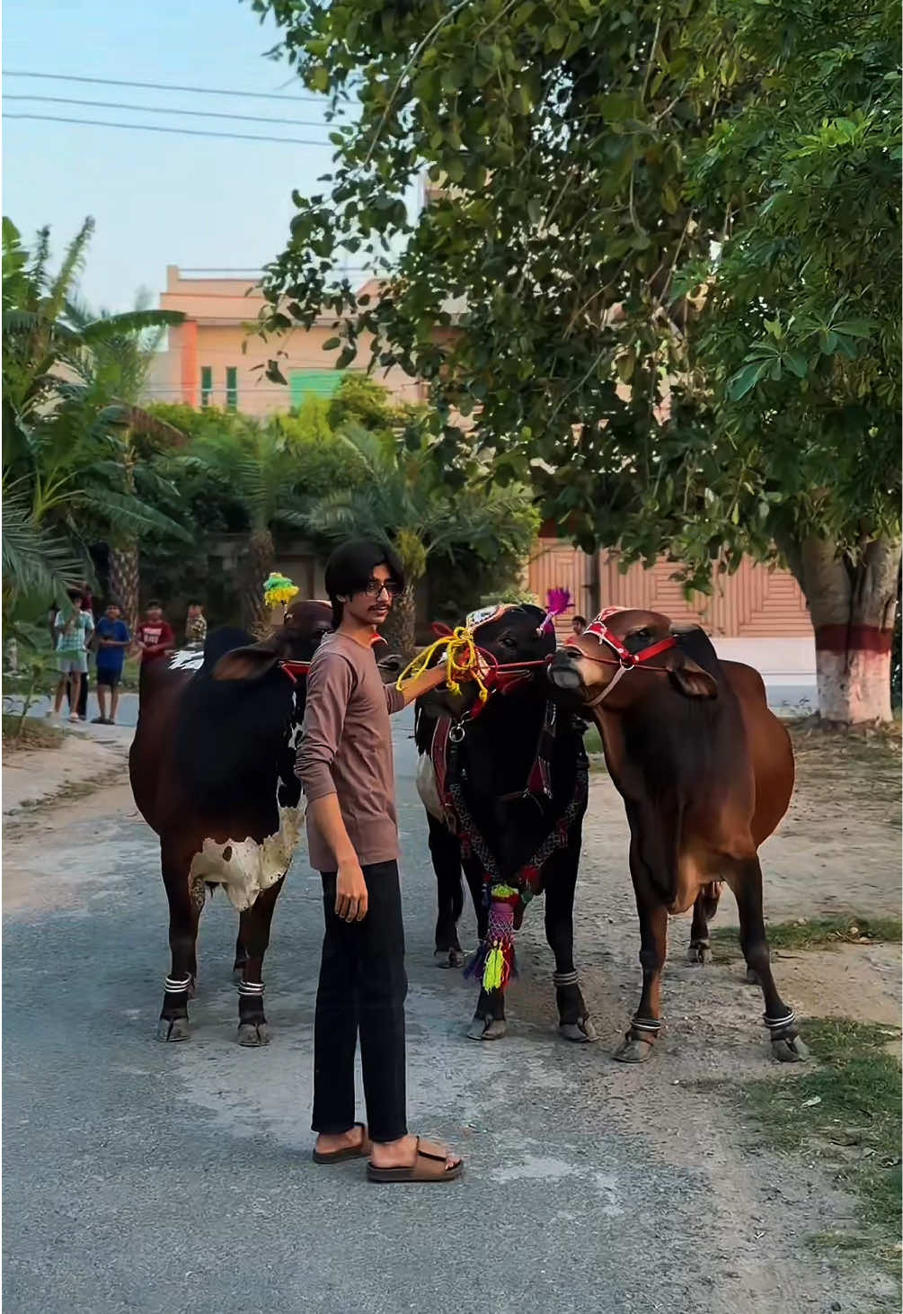 @𝓐𝓡𝓢 🚩