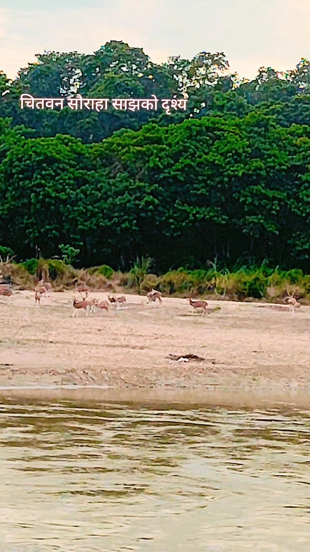 @थापा काजी (म तिम्रो काजी)