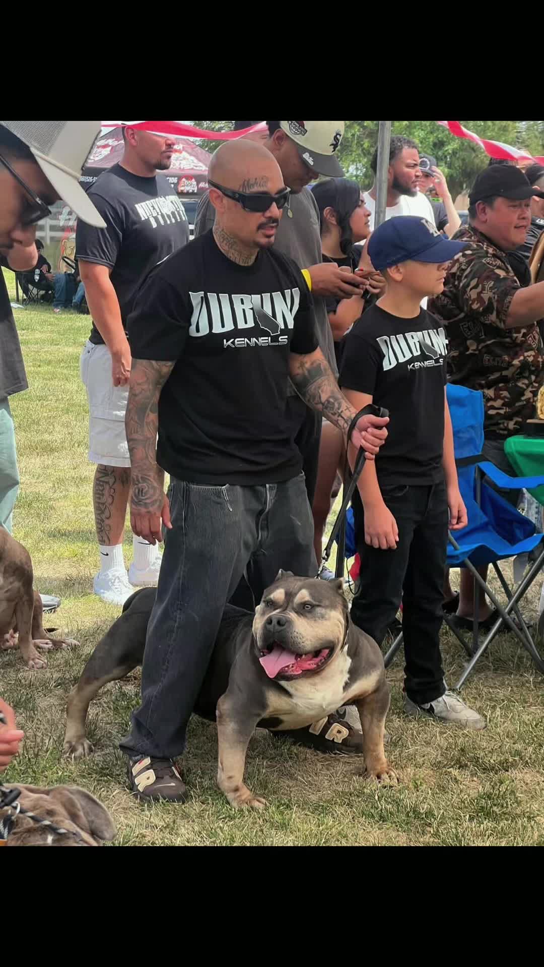 @@Dublinekennels
