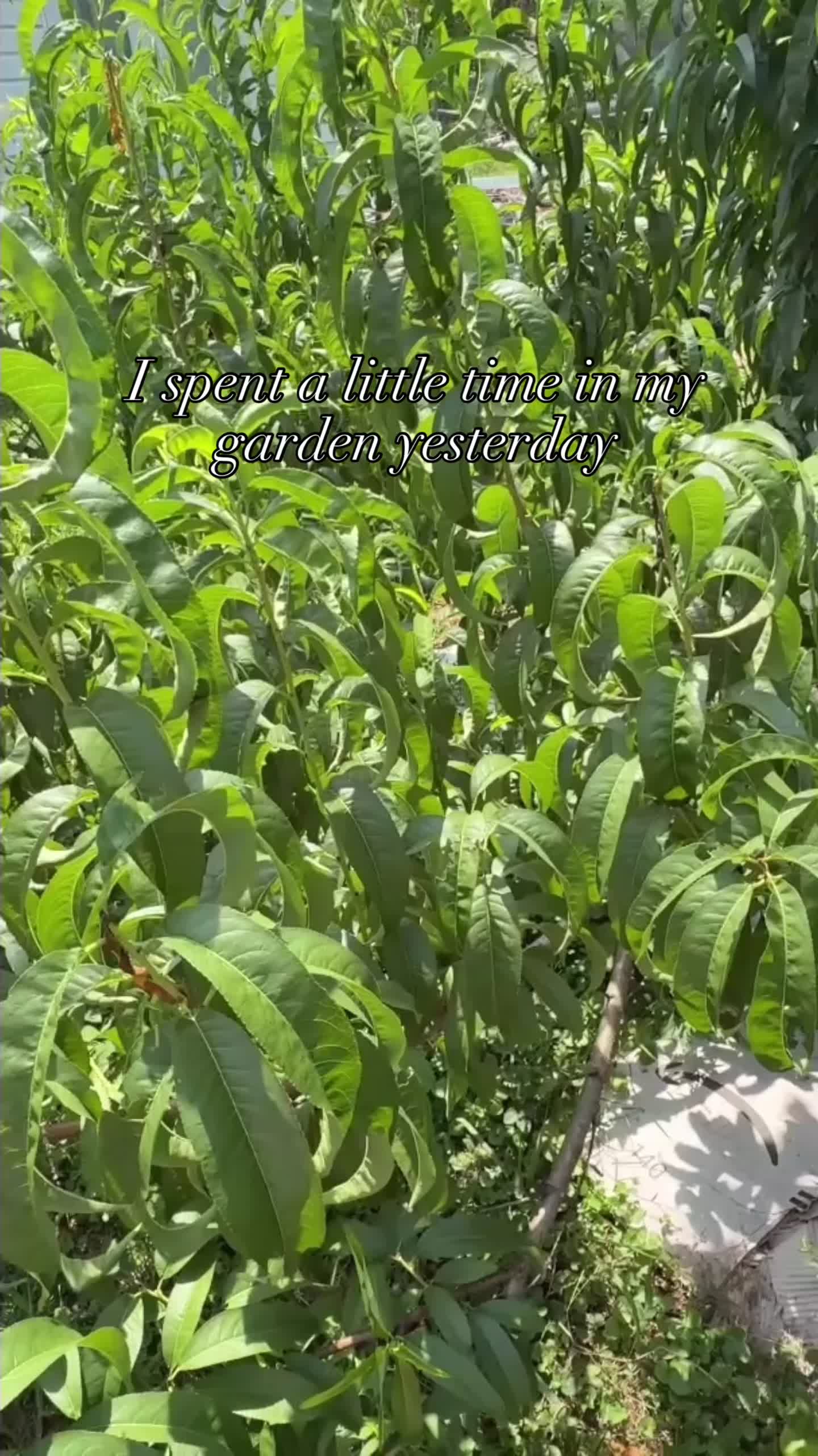 @borntowritesongs