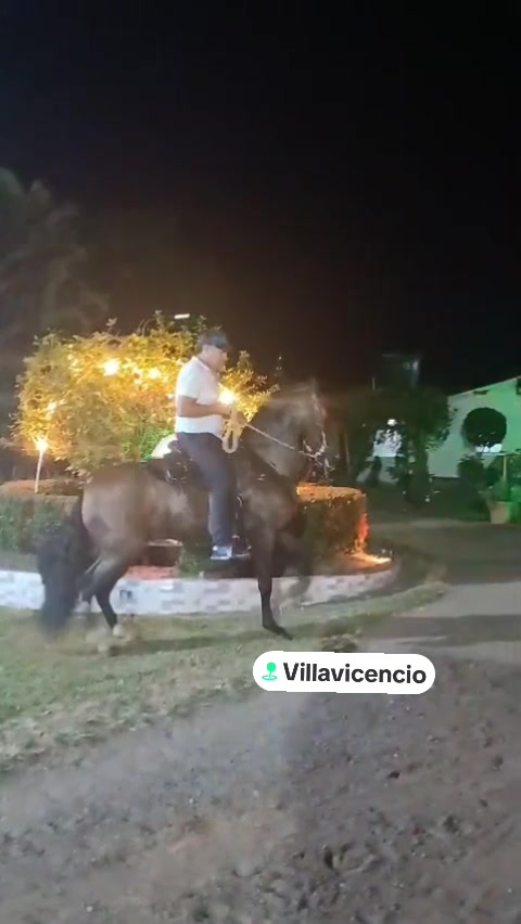 @lissvalderrama