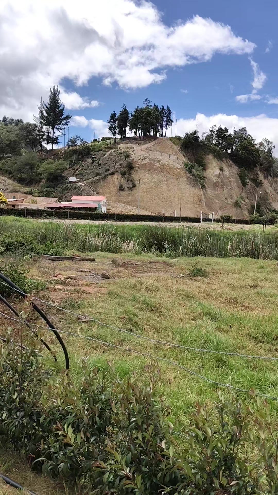@Julio Cesar Barrero