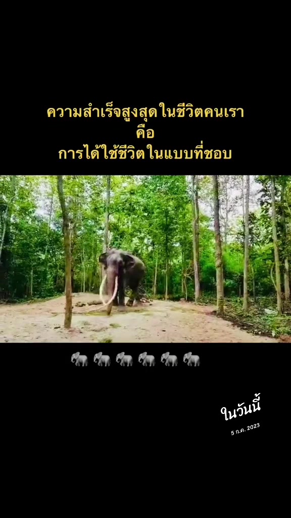 @ปู นิชทิพย์ ไกรนรา