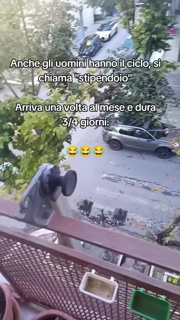 @Mara Affatato