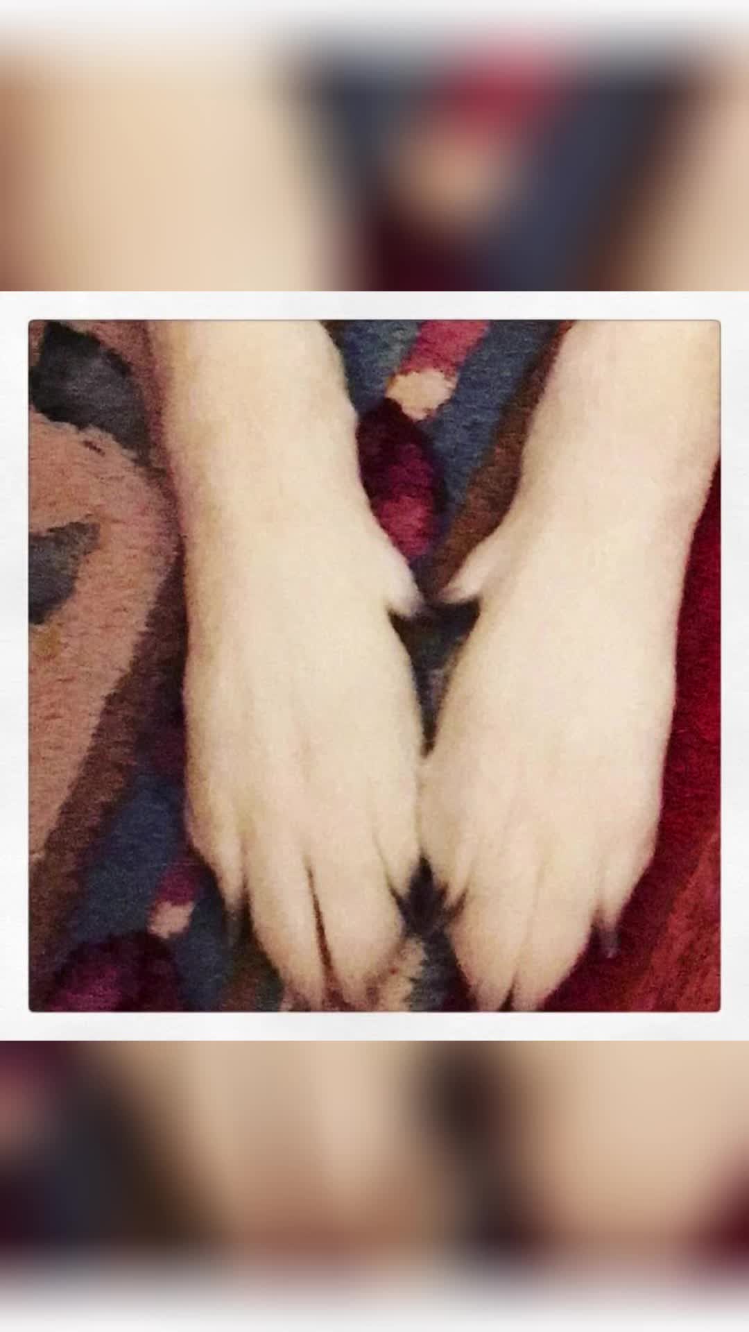 @TheRealAlexa
