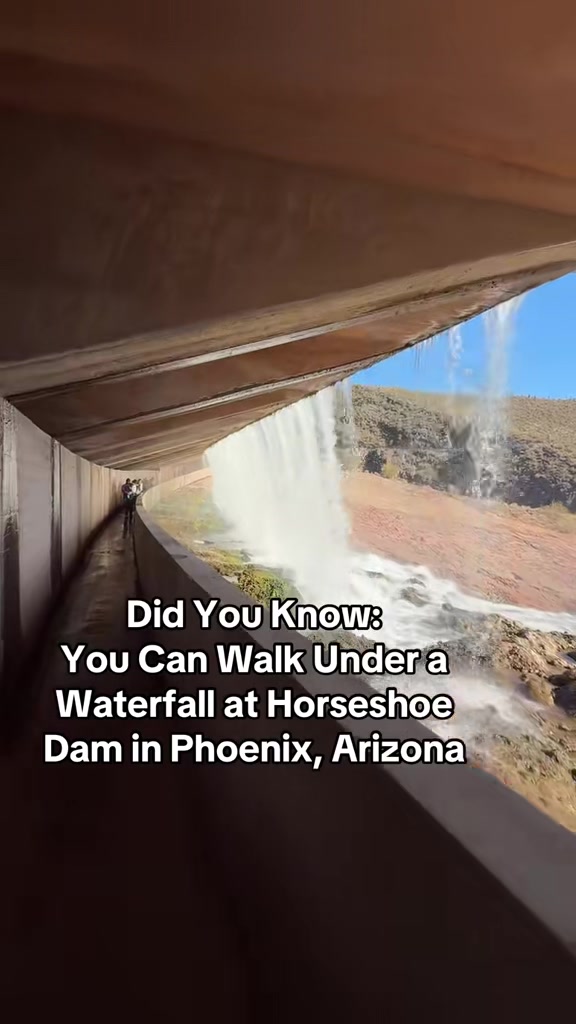 @ArizonaTribe