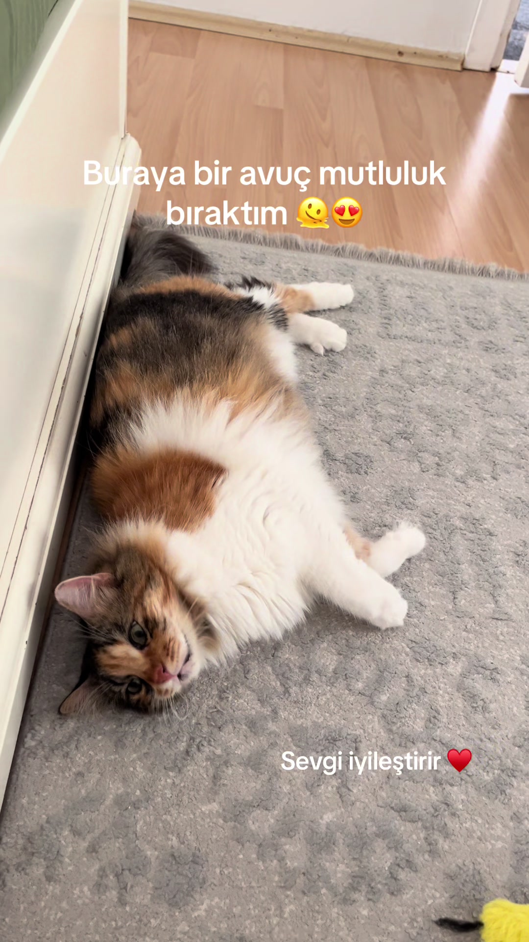 @konusankediminnos