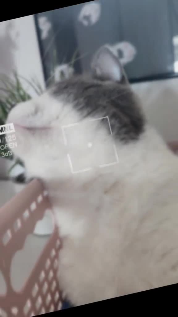 @𝐒𝔸𝓜тᑭᶠ&ouml;тᑕｈⒺή