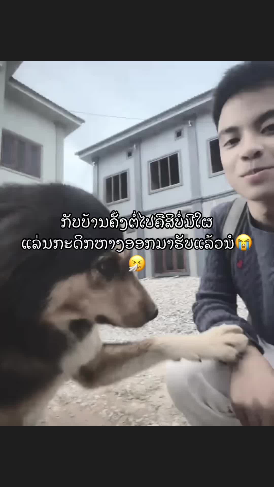 @pamy_kvp