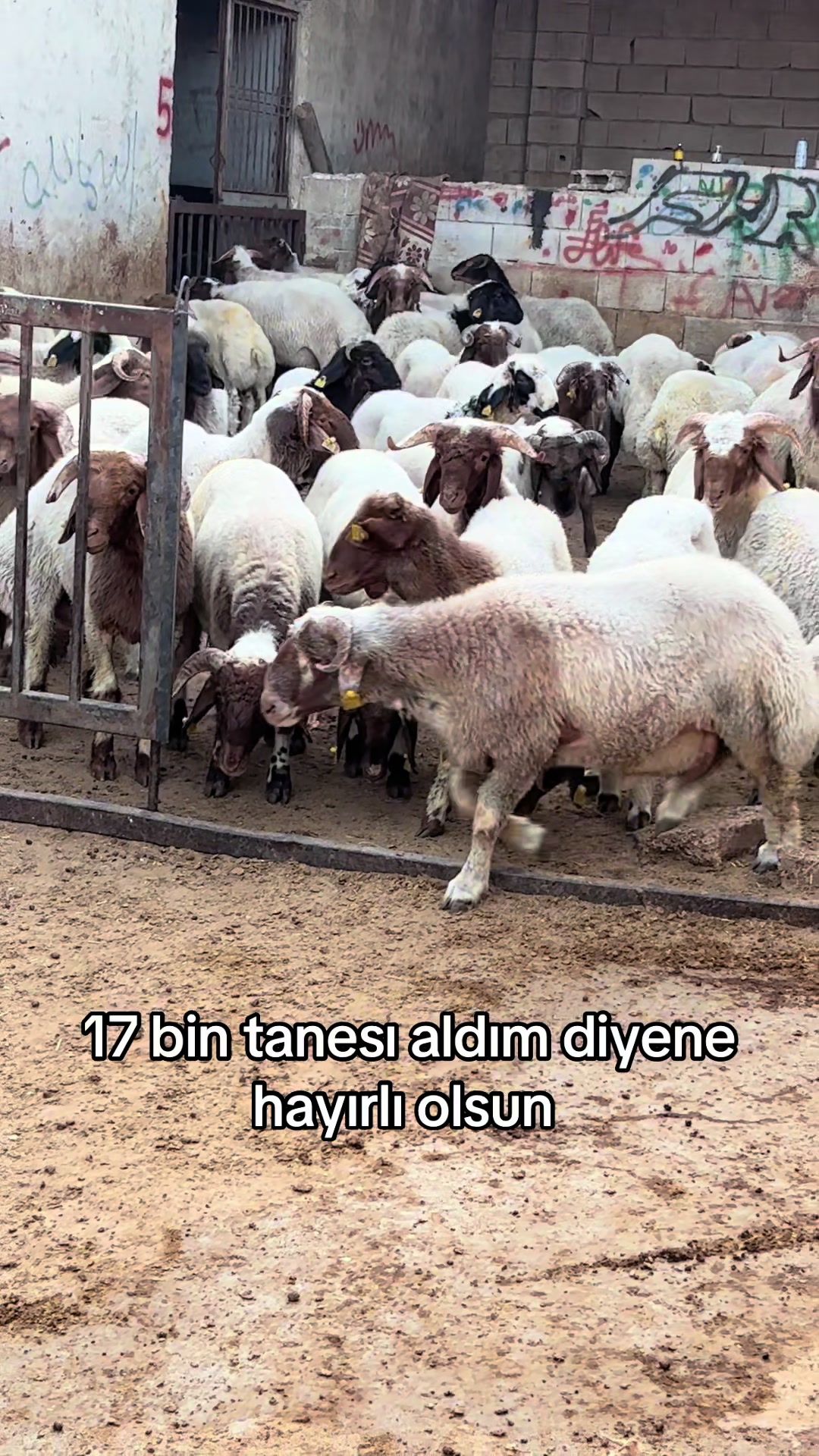 @Ahmet S&ouml;nmez