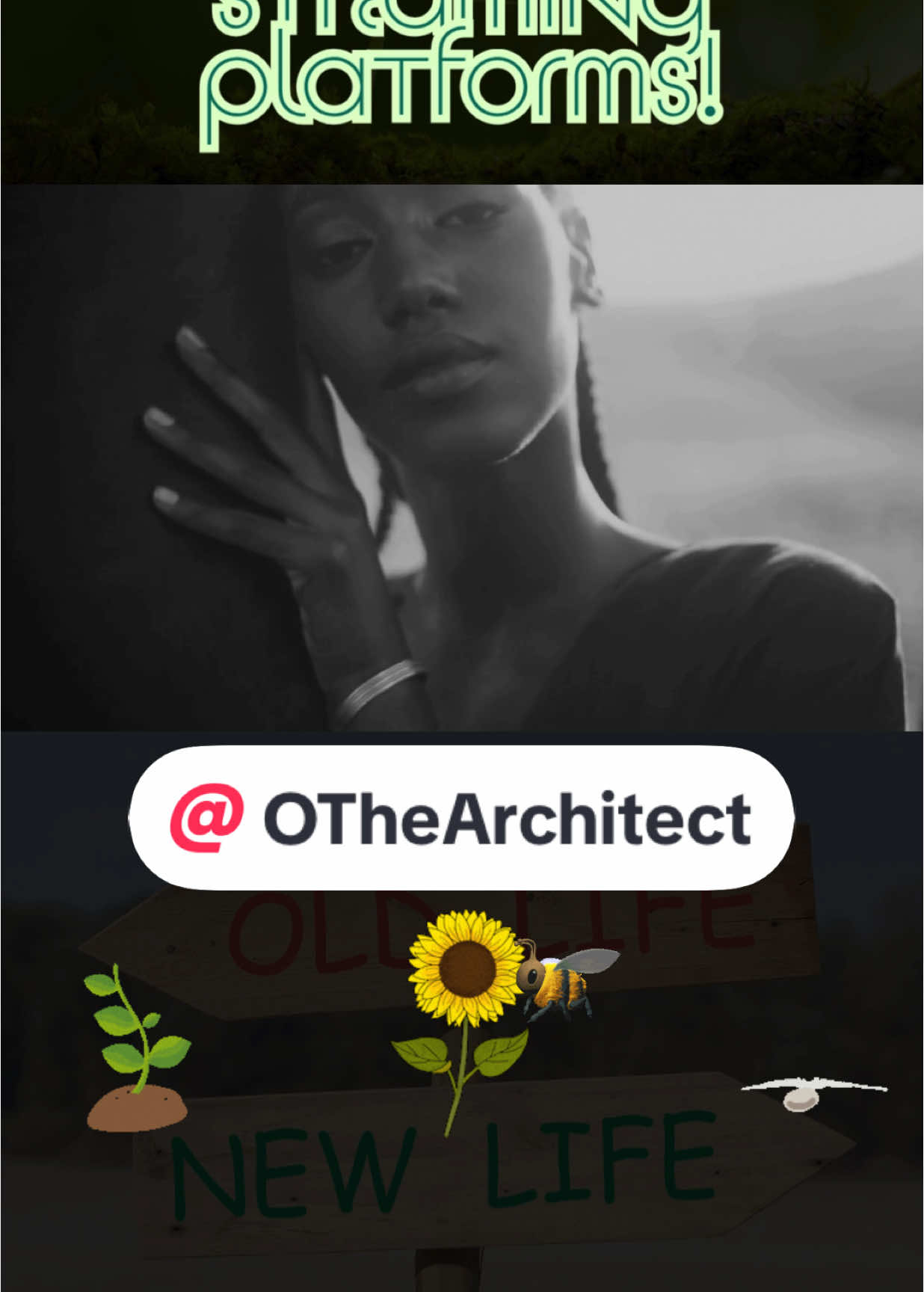 @O The Architect