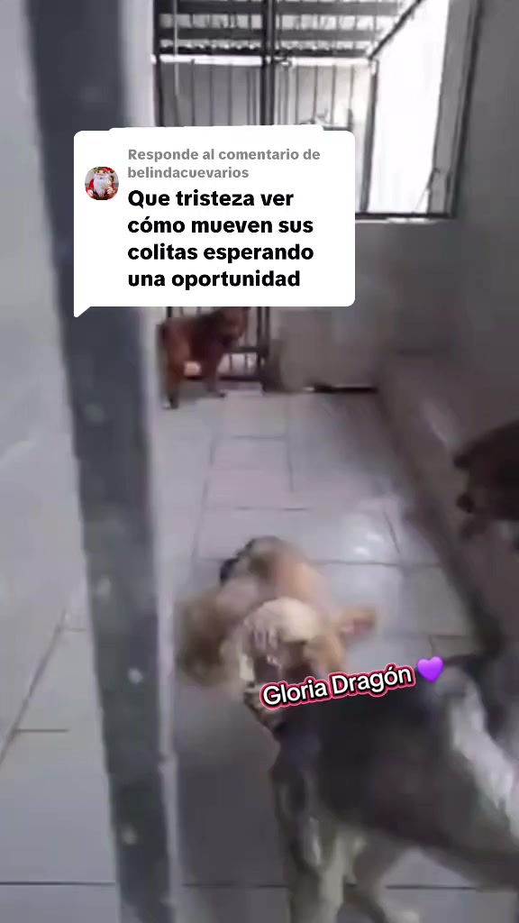 @Gloria Arellano Ramirez
